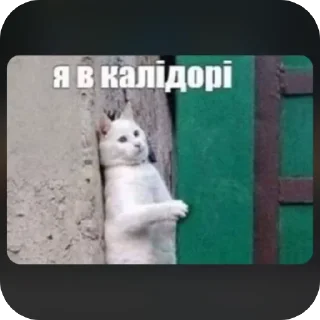 Sticker from сни be like
