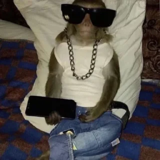 😎 emoji АБСОЛЮТ Telegram sticker 2 of 48