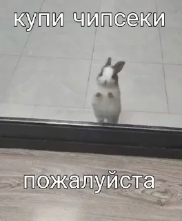 🥰 emoji СБОРНАЯ СОЛЯНКА Telegram sticker 18 of 120