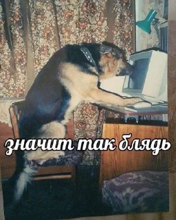 🤥 emoji СБОРНАЯ СОЛЯНКА Telegram sticker 14 of 120