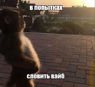 😜 emoji СБОРНАЯ СОЛЯНКА Telegram sticker 5 of 120