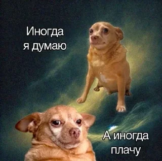 🥲 emoji СБОРНАЯ СОЛЯНКА Telegram sticker 19 of 120