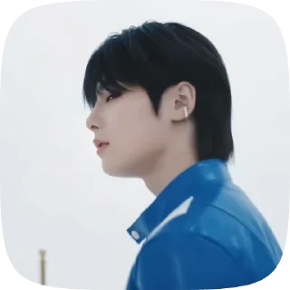 Sticker from Jeongin_nikiikor