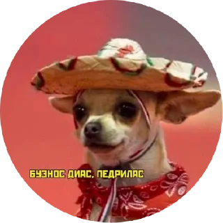 Sticker from ᴍᴏᴏᴅ ʙʏ sᴍʙxᴠ