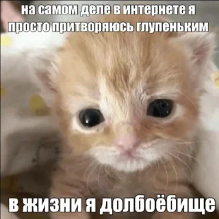 Sticker from Жми сюда 👉🏻 @emoj1k