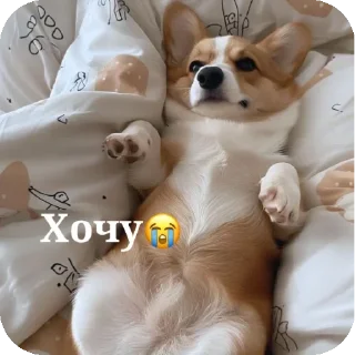 🤲 emoji Тгк KimDi : @fStikBot Telegram sticker 8 of 20
