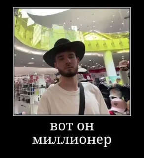 Sticker from хазяева любимые🩶