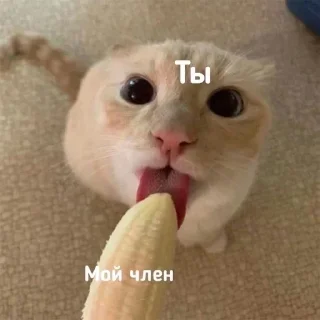 👅 emoji Favorite stickers Telegram sticker 15 of 57