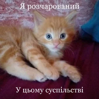😶 emoji мявики Telegram sticker 19 of 33