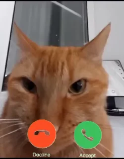 🌟 emoji Єбана кочерижка #4 Telegram sticker 12 of 46