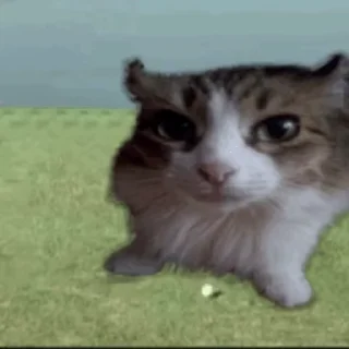 💥 emoji Єбана кочерижка #4 Telegram sticker 7 of 46