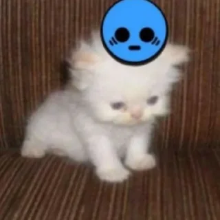 Sticker from котяра сникерс