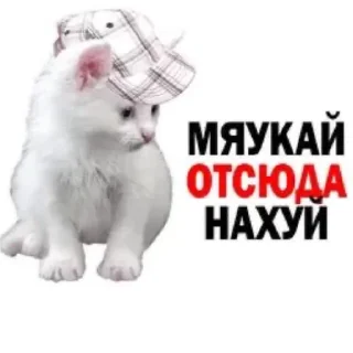 Sticker from котяра сникерс