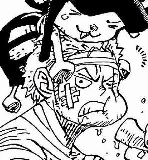 🌱 emoji Roronoa Zoro Telegram sticker 5 of 81