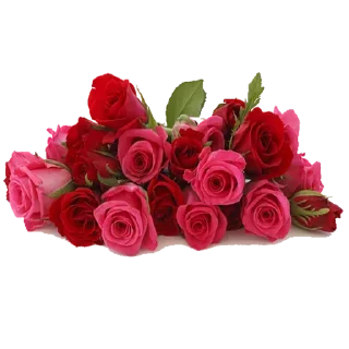 Sticker from Like Pack @TVstickers