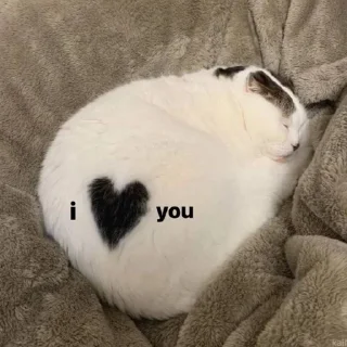 Sticker from ʕ•ᴥ•ʔ