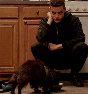 🐕 emoji Лучший сериал в мире @StickersPackRobot Telegram sticker 6 of 36