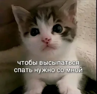 😴 emoji самый ебейший стикпак Telegram sticker 13 of 117