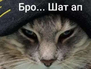🤫 emoji самый ебейший стикпак Telegram sticker 12 of 117