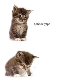 🌝 emoji самый ебейший стикпак Telegram sticker 4 of 117
