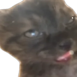 🥱 emoji @STICKRULE <- БОЛЬШЕ Telegram sticker 5 of 43