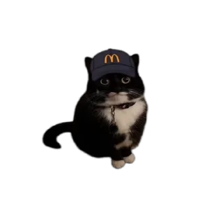 🍟 emoji @STICKRULE <- БОЛЬШЕ Telegram sticker 17 of 43