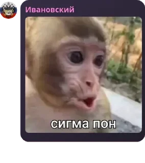 🌟 emoji Русский Стандарт pack by @QuotLyBot Telegram sticker 7 of 92