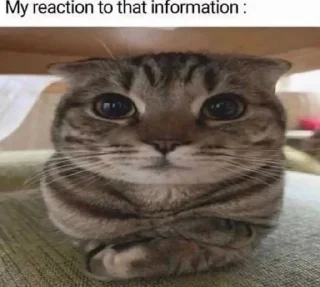 Sticker from My reaction to that informatio