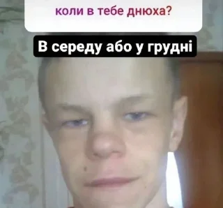 🤔 emoji Давай, уніжайся by: @kkkageya Telegram sticker 23 of 75
