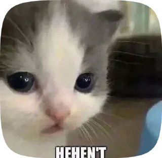 😐 emoji Давай, уніжайся by: @kkkageya Telegram sticker 12 of 75