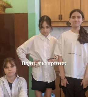 Sticker from Я самая пздтая
