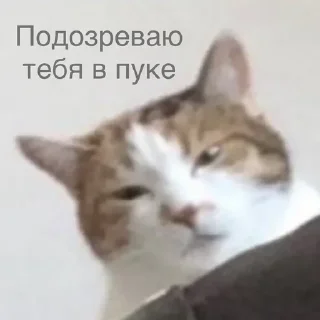 Sticker from Пук от Araba