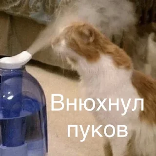 Sticker from Пук от Araba