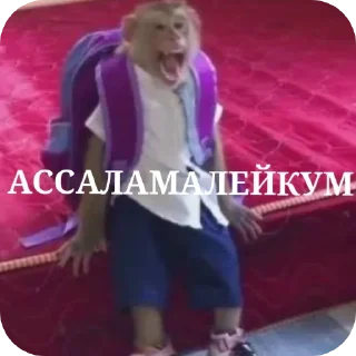 😲 emoji бибизяны MERLYY :: @gptVPNrbot Telegram sticker 23 of 91