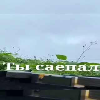 😡 emoji бибизяны MERLYY :: @gptVPNrbot Telegram sticker 21 of 91