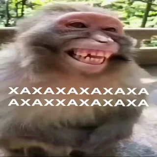 😂 emoji бибизяны MERLYY :: @gptVPNrbot Telegram sticker 15 of 91