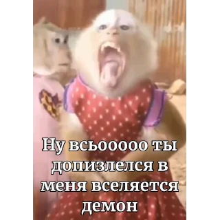 🐵 emoji бибизяны MERLYY :: @gptVPNrbot Telegram sticker 16 of 91