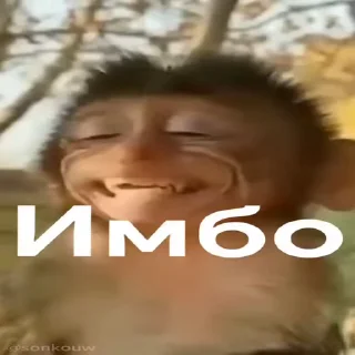 👍 emoji бибизяны MERLYY :: @gptVPNrbot Telegram sticker 19 of 91