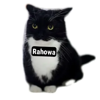 Sticker from Aryan cats