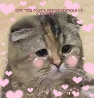 Sticker from SilesSeralBuss