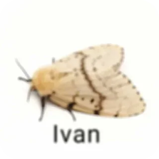 🐞 emoji @sticksbb <— больше стиков💓💘💞 Telegram sticker 11 of 19