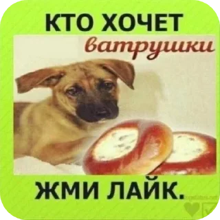 🐶 emoji @sticksbb <— больше стиков💓💘💞 Telegram sticker 17 of 19