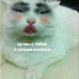 Sticker from на каждый день