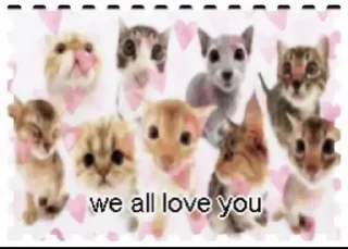 😘 emoji мухоловка Telegram sticker 13 of 63