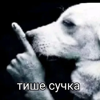 Sticker from Далбаёб