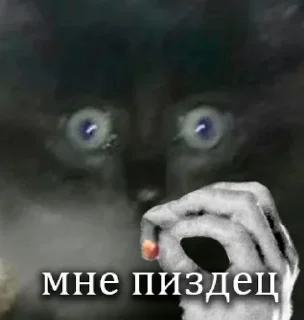 Sticker from Далбаёб