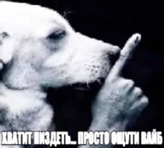 Sticker from Далбаёб