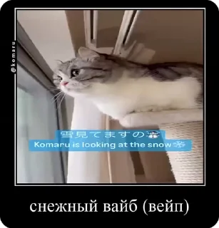 Sticker from Комары и ко