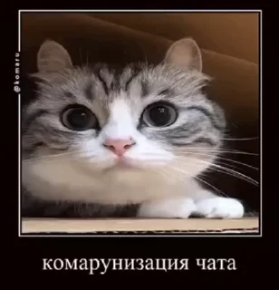 🌟 emoji forkomarunow от @Makakish1949 Telegram sticker 7 of 73
