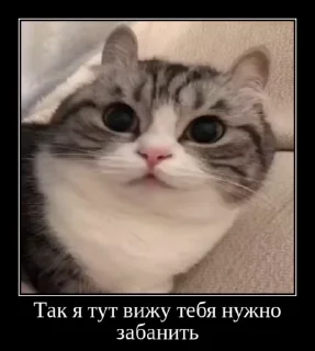 🌟 emoji forkomarunow от @Makakish1949 Telegram sticker 15 of 73